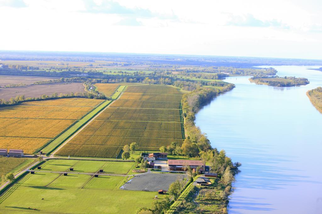 Les Cinq Sens Du Chateau Mayne Lalande Hotell Castelnau-de-Médoc Exteriör bild