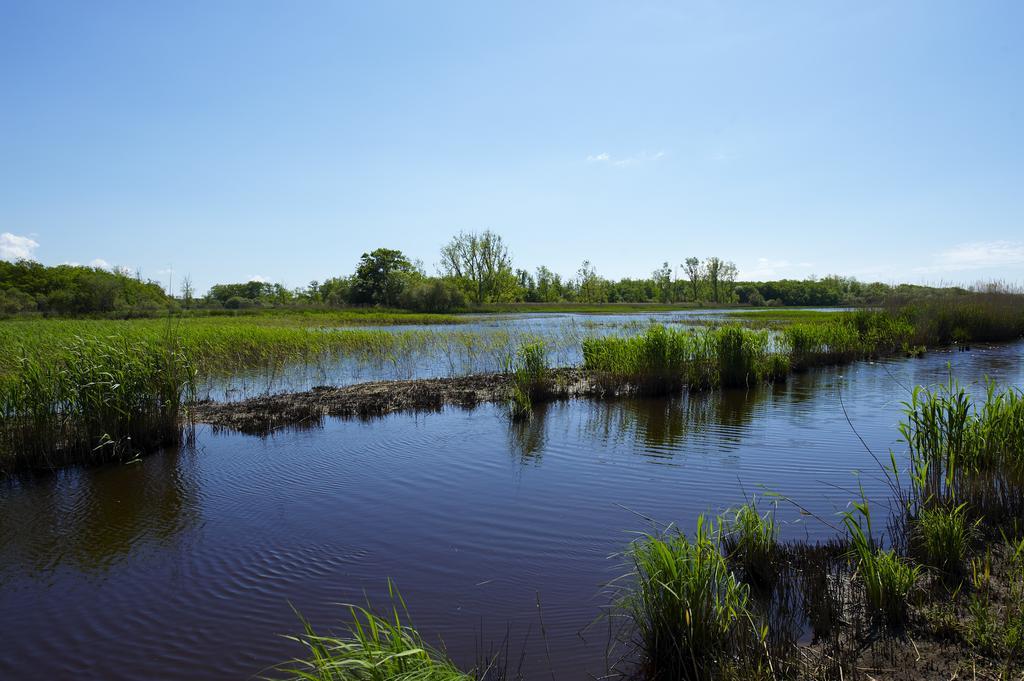 Les Cinq Sens Du Chateau Mayne Lalande Hotell Castelnau-de-Médoc Exteriör bild