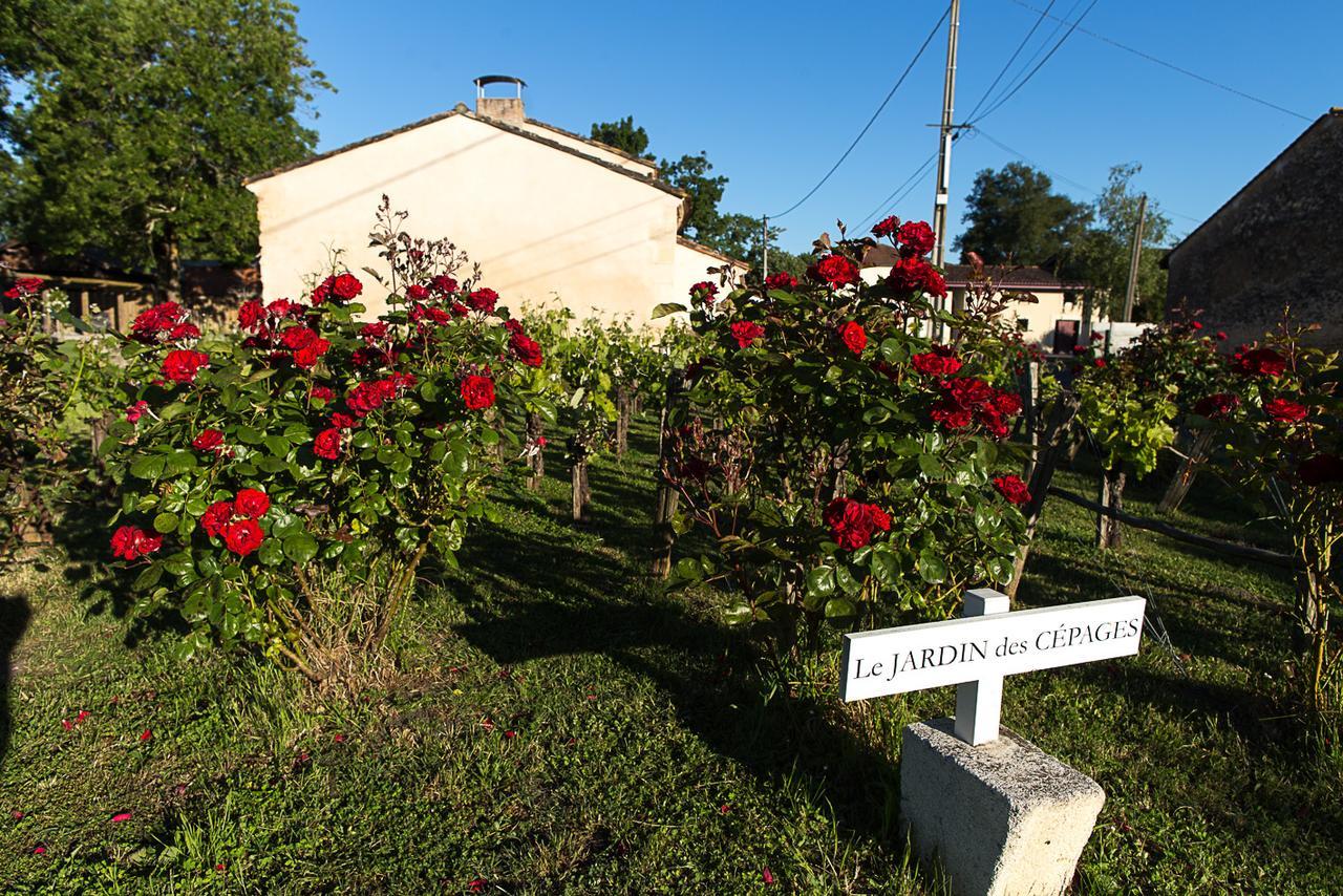 Les Cinq Sens Du Chateau Mayne Lalande Hotell Castelnau-de-Médoc Exteriör bild