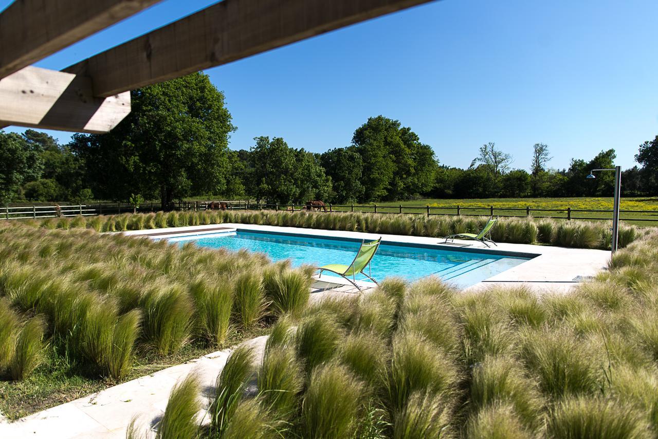 Les Cinq Sens Du Chateau Mayne Lalande Hotell Castelnau-de-Médoc Exteriör bild